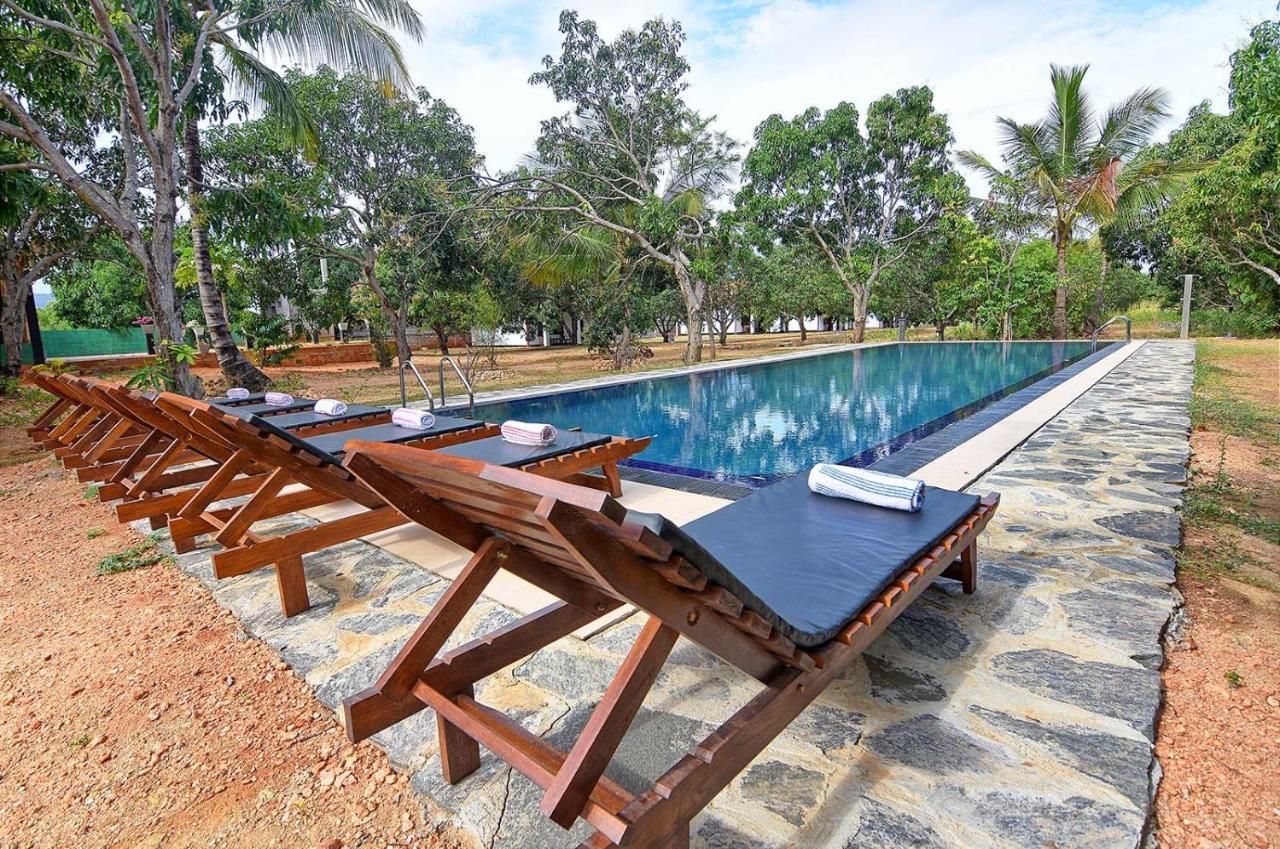 Dambulla Hills Resort Exteriör bild